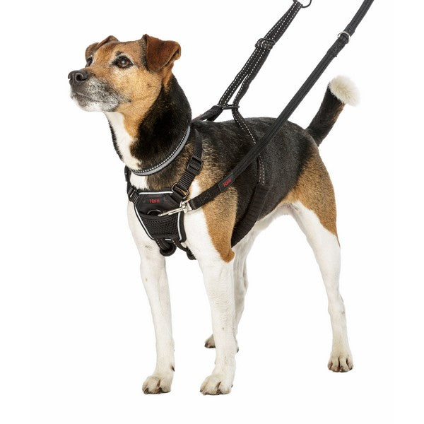 COA Halti No Pull Harness Large