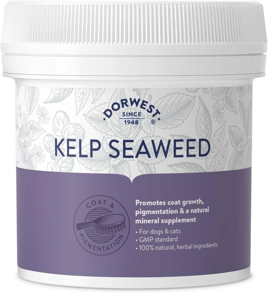 Dorwest Kelp Seaweed Powder 250g