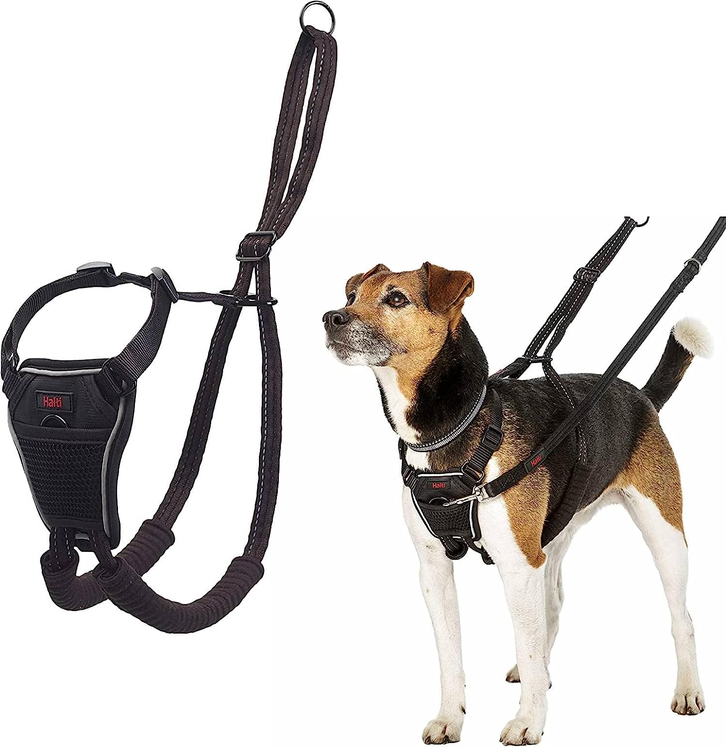 COA Halti No Pull Harness Large Ziggy s Pet Supplies LTD