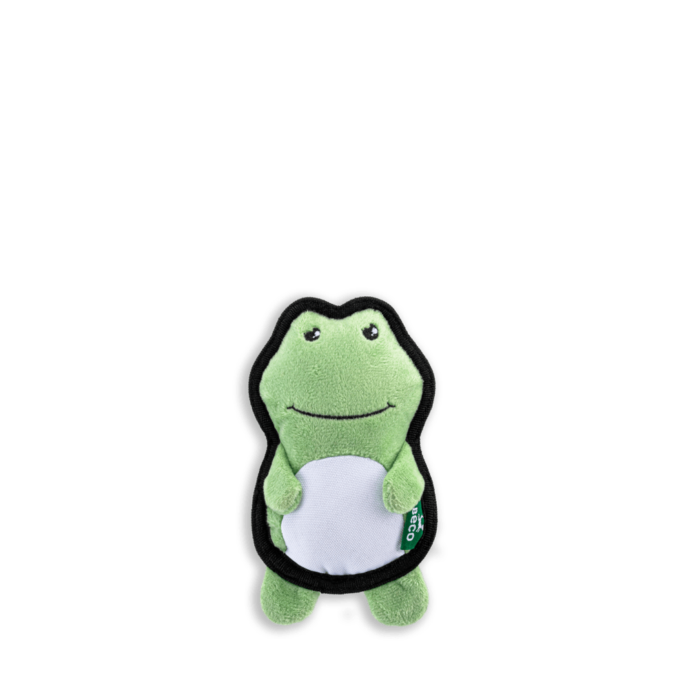 Beco Freddy The Frog