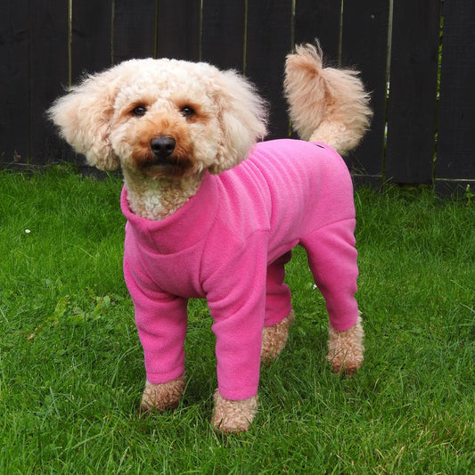 Pawsome Suit Pink S