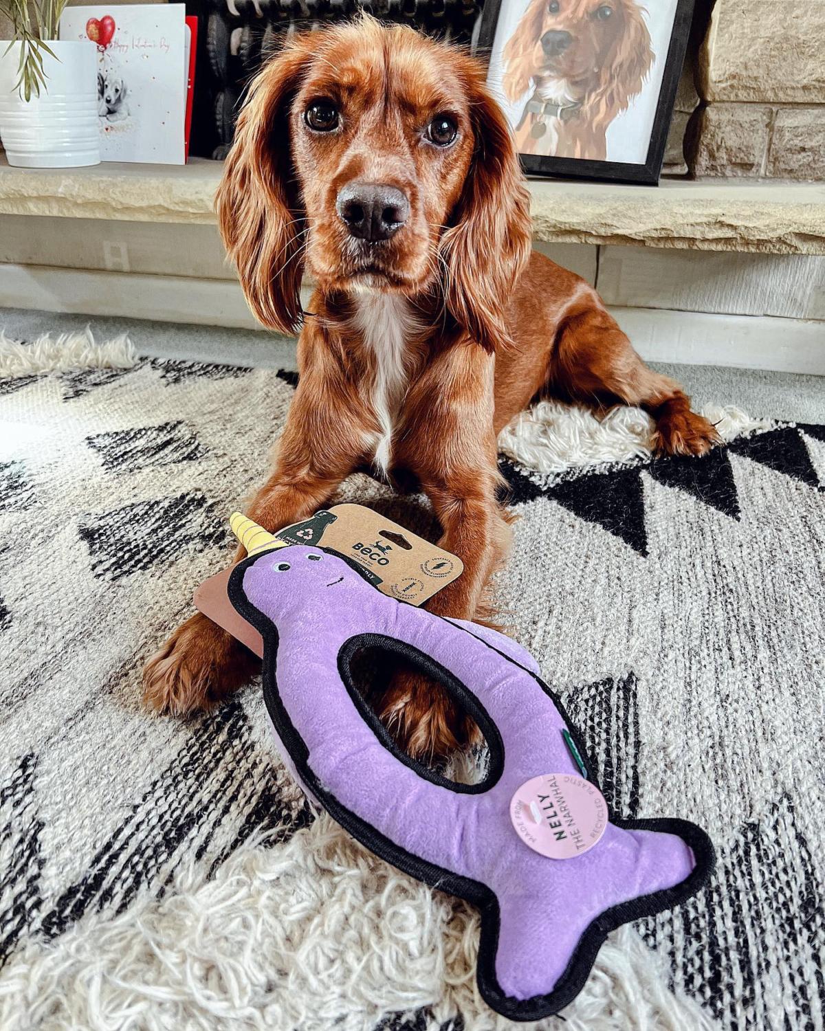 Beco Nelly The Narwhal