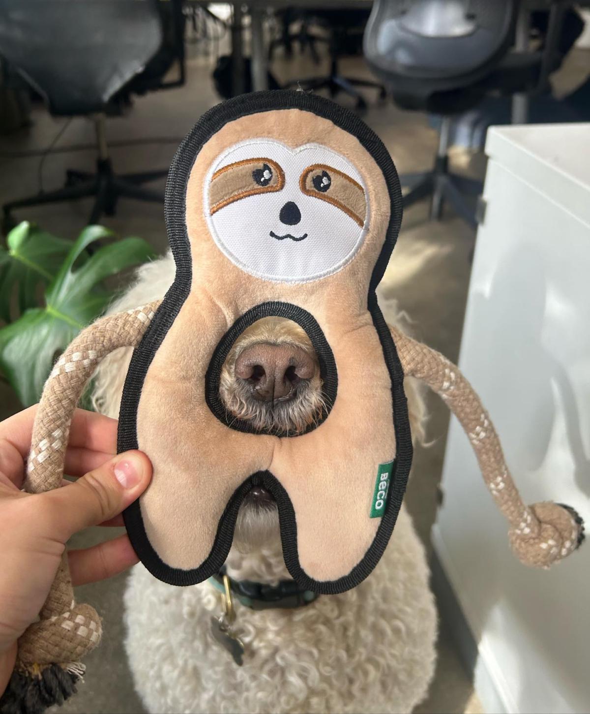 Beco Sonny The Sloth