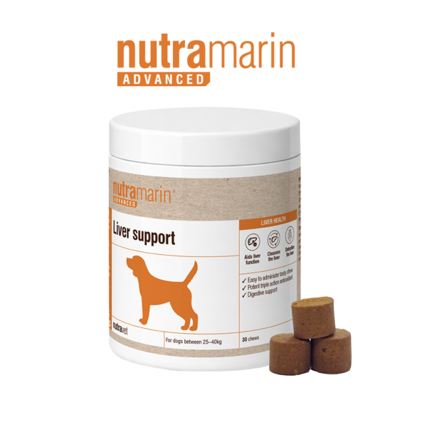 Nutramarin Advanced – Liver support 30 chews - Dog