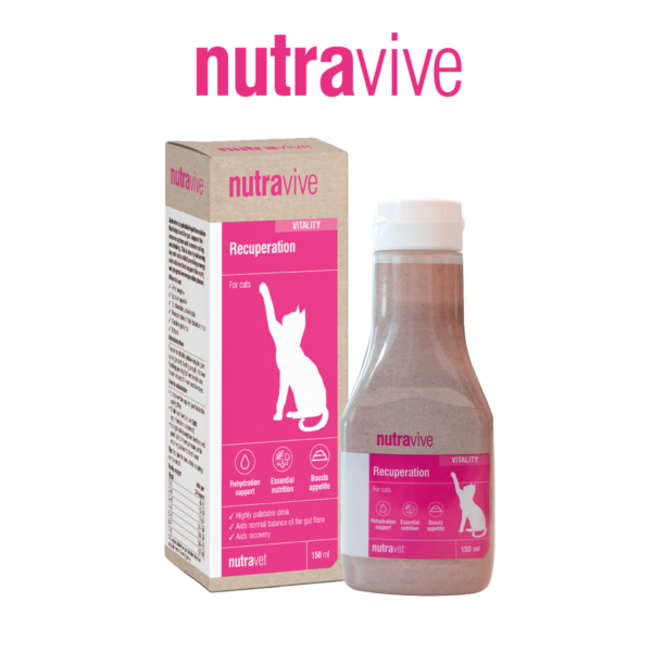 Nutravive - Fast acting recuperation support for cats