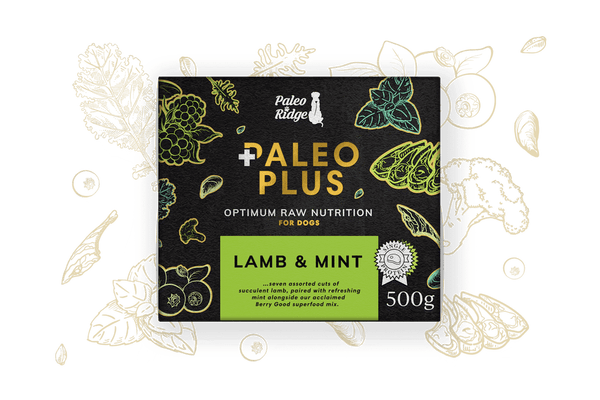 Paleo Plus Lamb and Mint 500g