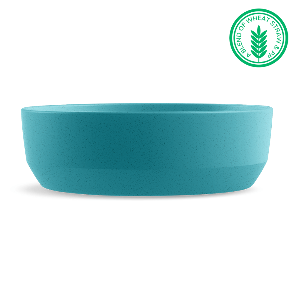 Bevel Dog and Cat Bowl Medium