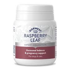 Dorwest Raspberry Leaf 100 Tablets