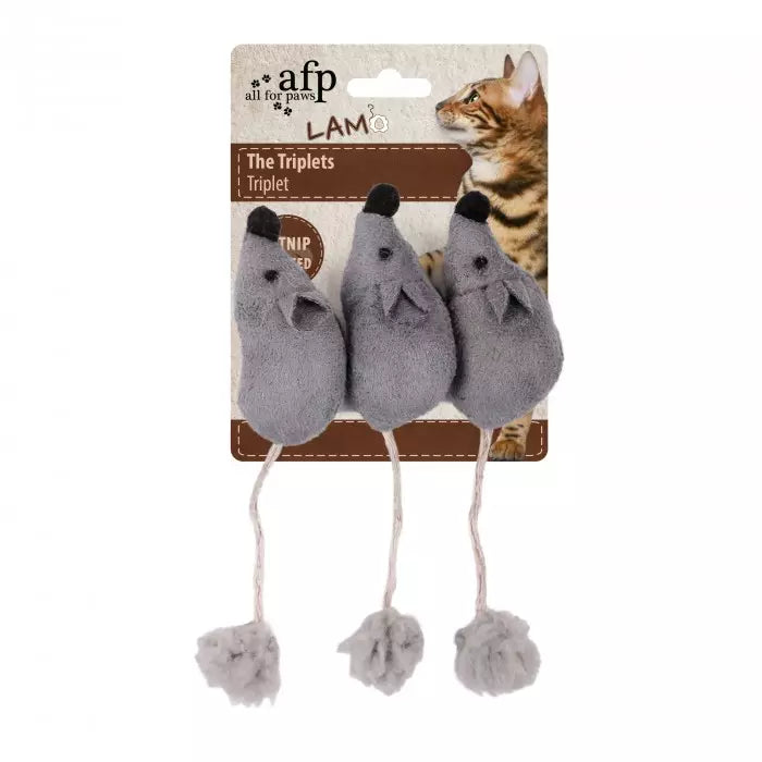 All for Paws Lamb The Triplets