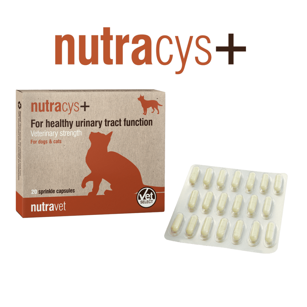 Nutracys+ 20 Capsules