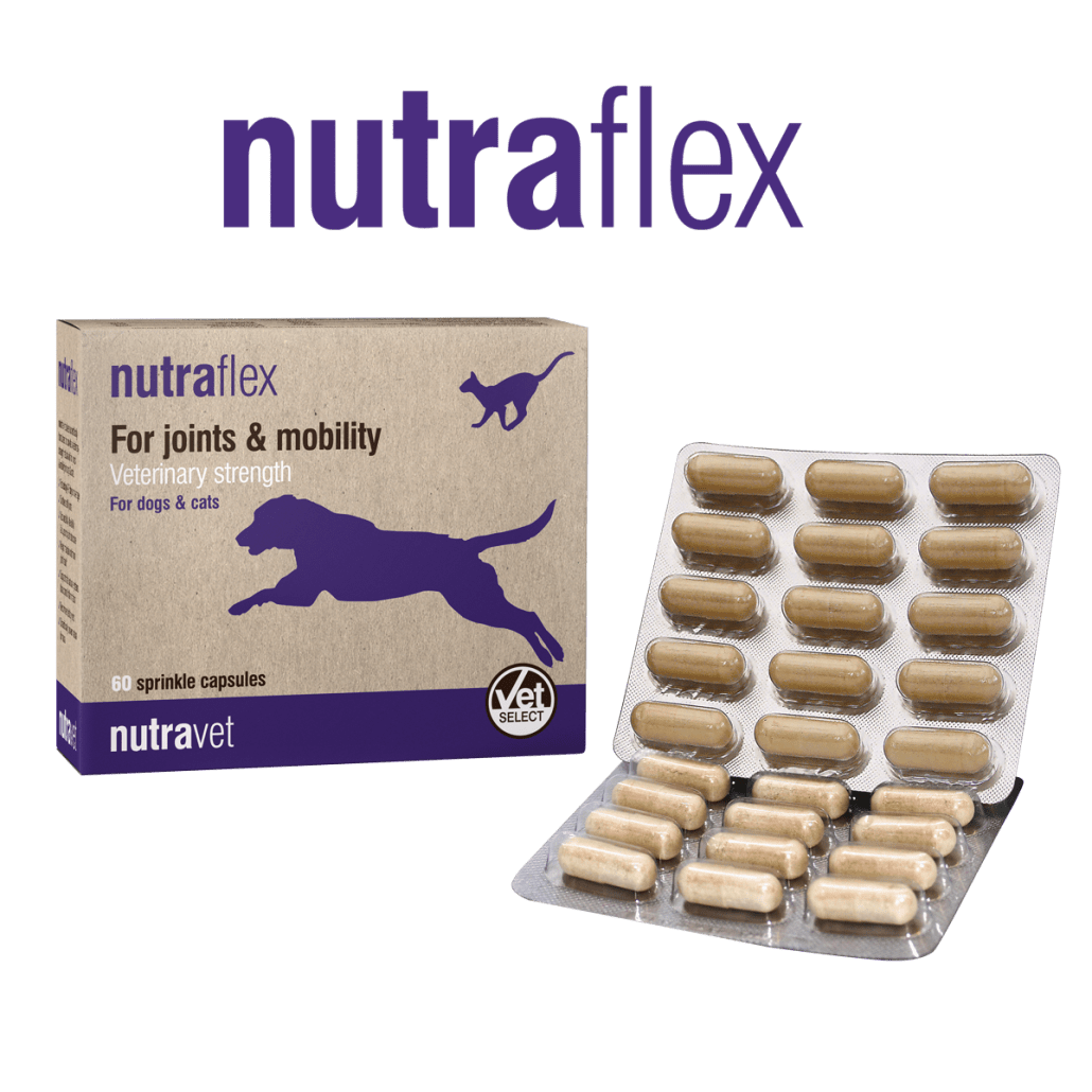 Nutraflex 60 caps