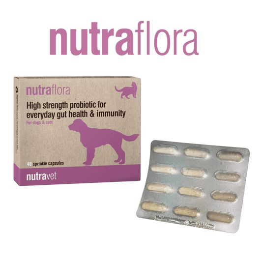 Nutraflora 12 Capsules