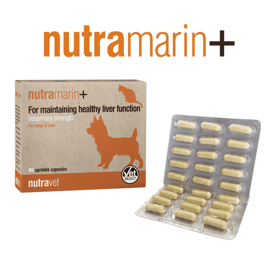 Nutramarin 30 Capsules