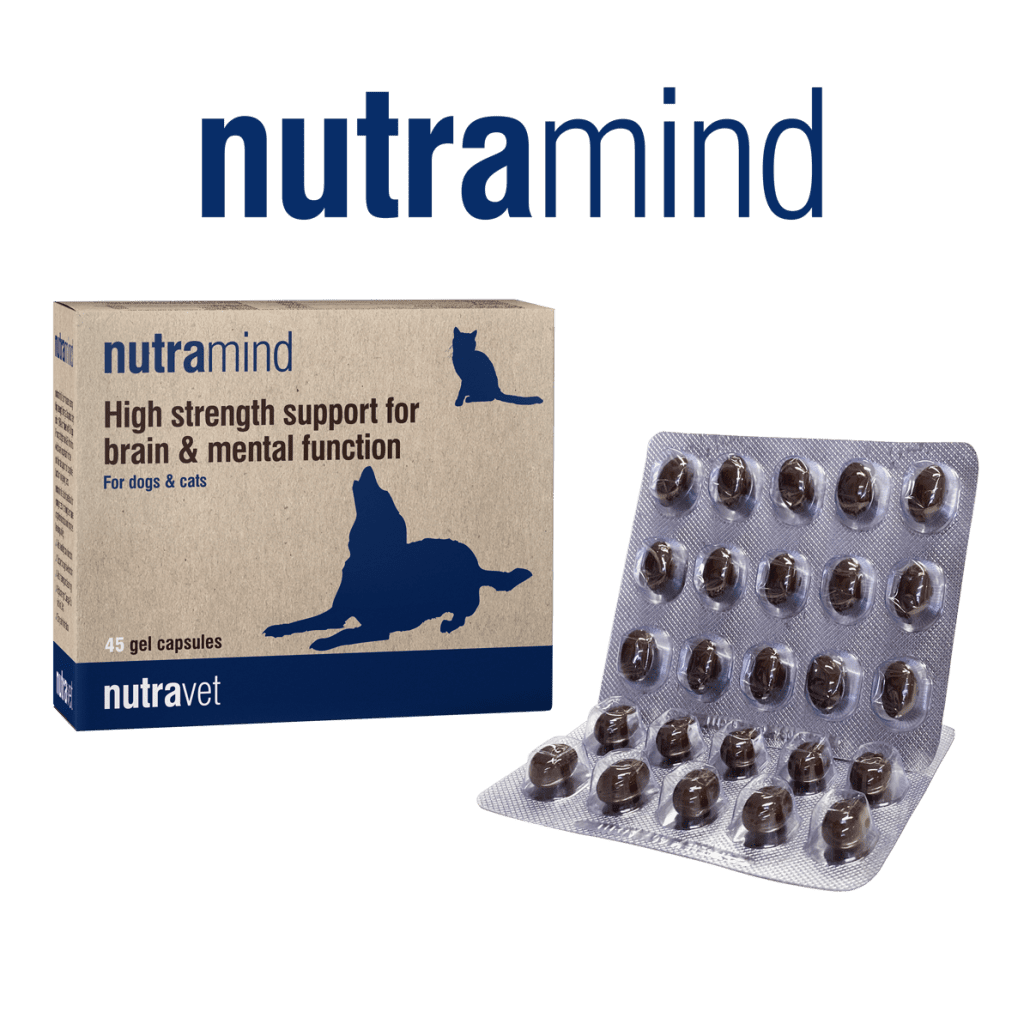 Nutramind 45 Capsules