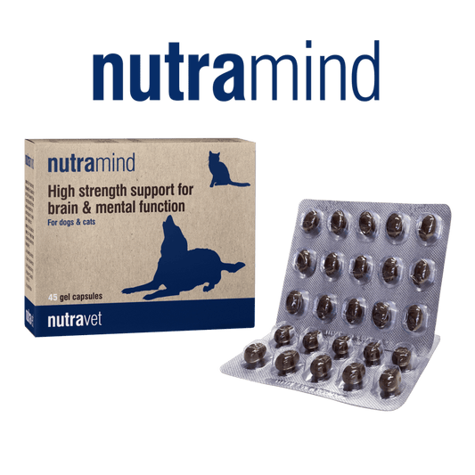 Nutramind 45 Capsules