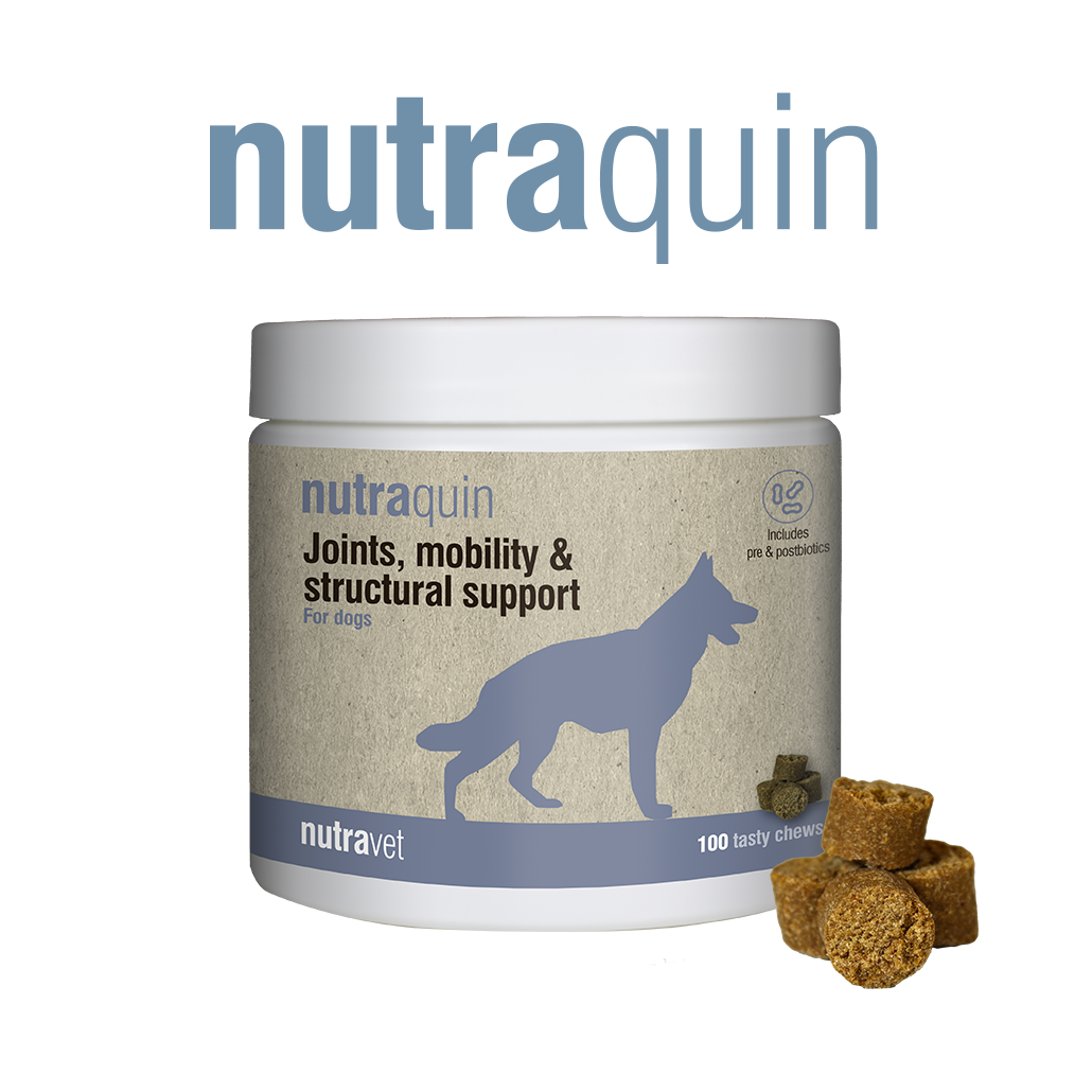 Nutraquin + - 50 chews