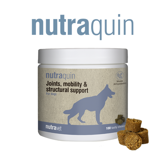 Nutraquin + - 50 chews