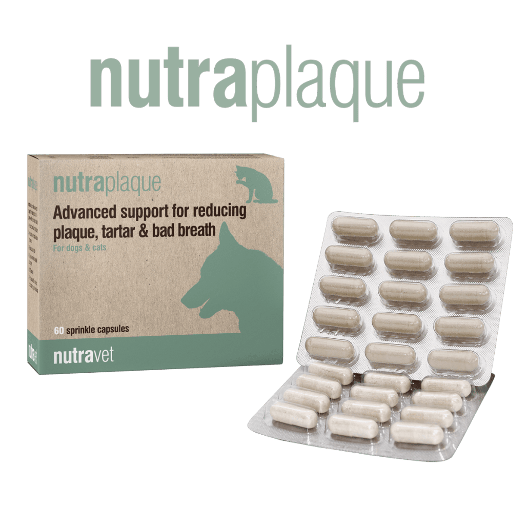 Nutraplaque 15 Capsules