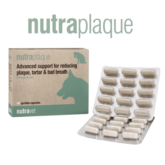 Nutraplaque Dogs & Cats 60 Capsules