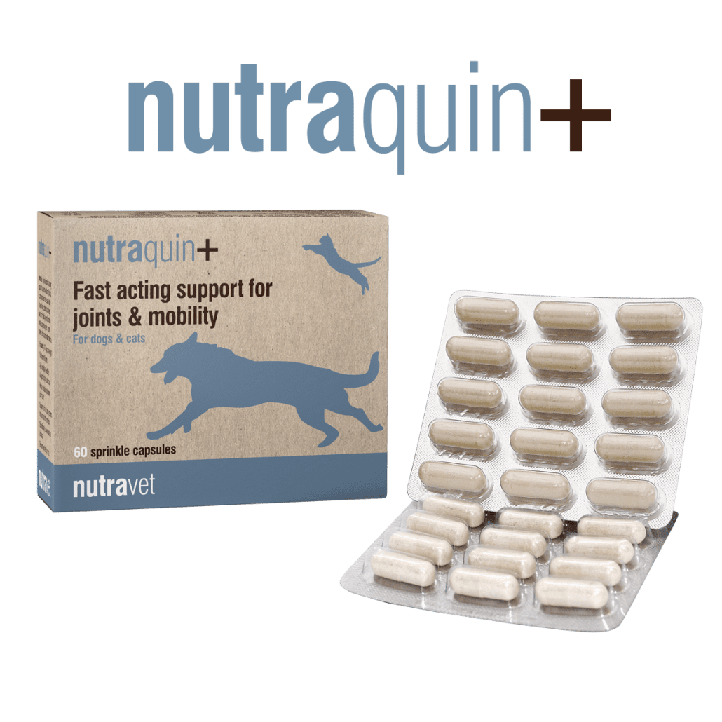 Nutraquin + Dogs & Cats 30 Capsules