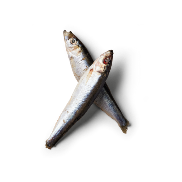 Nutriment Frozen Sprats 1kg
