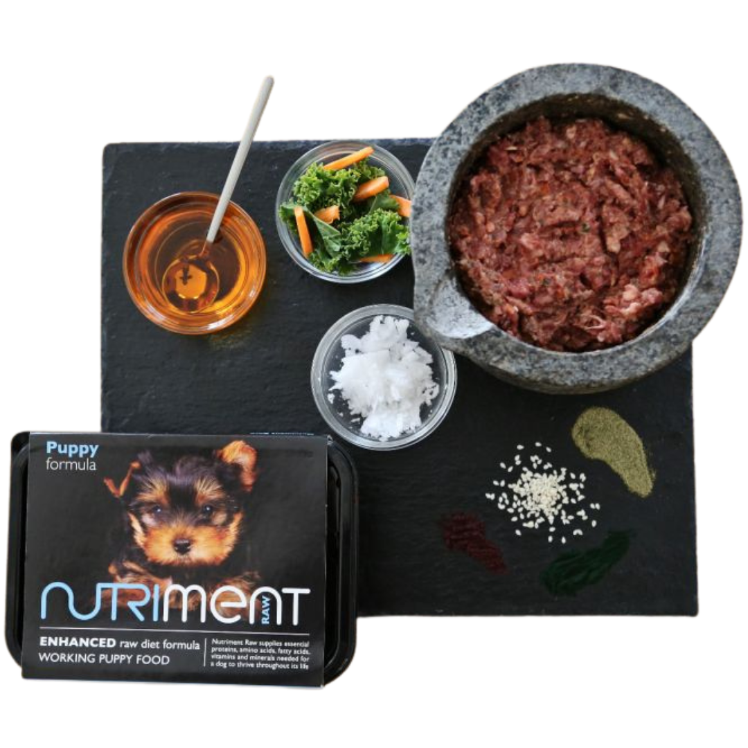 Nutriment puppy hotsell raw food