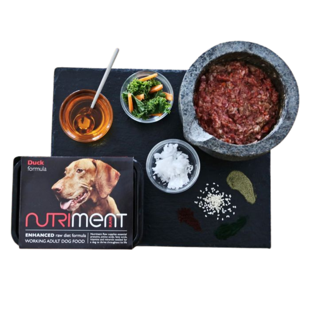 Nutriment raw outlet food