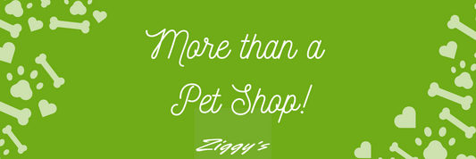 What's on offer at Ziggys - more than just a pet shop!