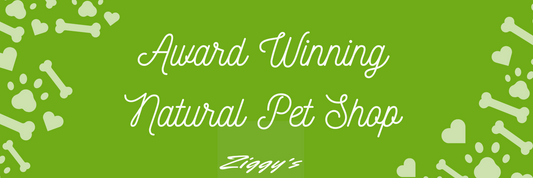 Winner of Best Pet Supplies and Care Services Company - East Sussex