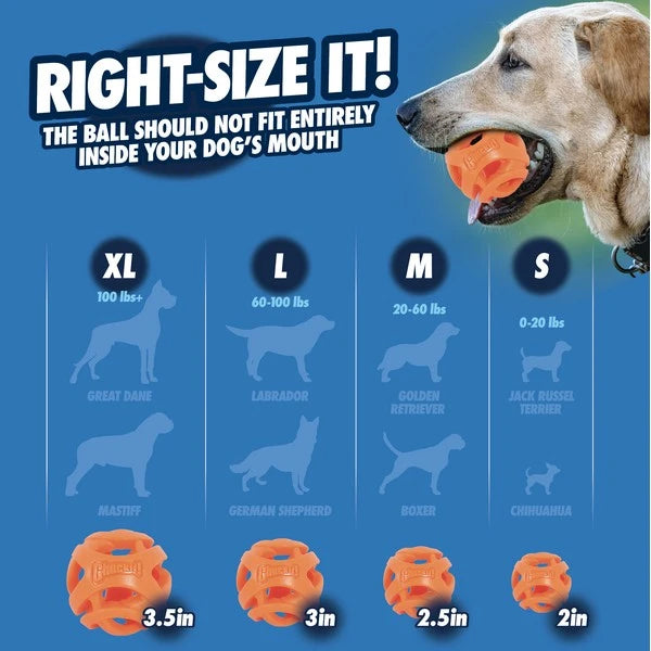 Chuckit! Air Fetch Ball XL