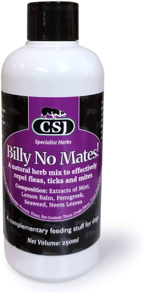 Billy No Mates 250ml