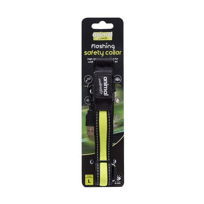 Animal Instincts Flashing Safety Collar
