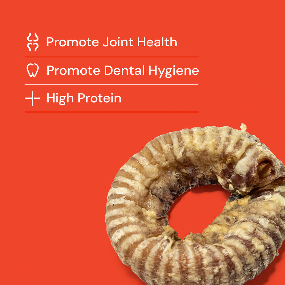BEEF TRACHEA  RINGS