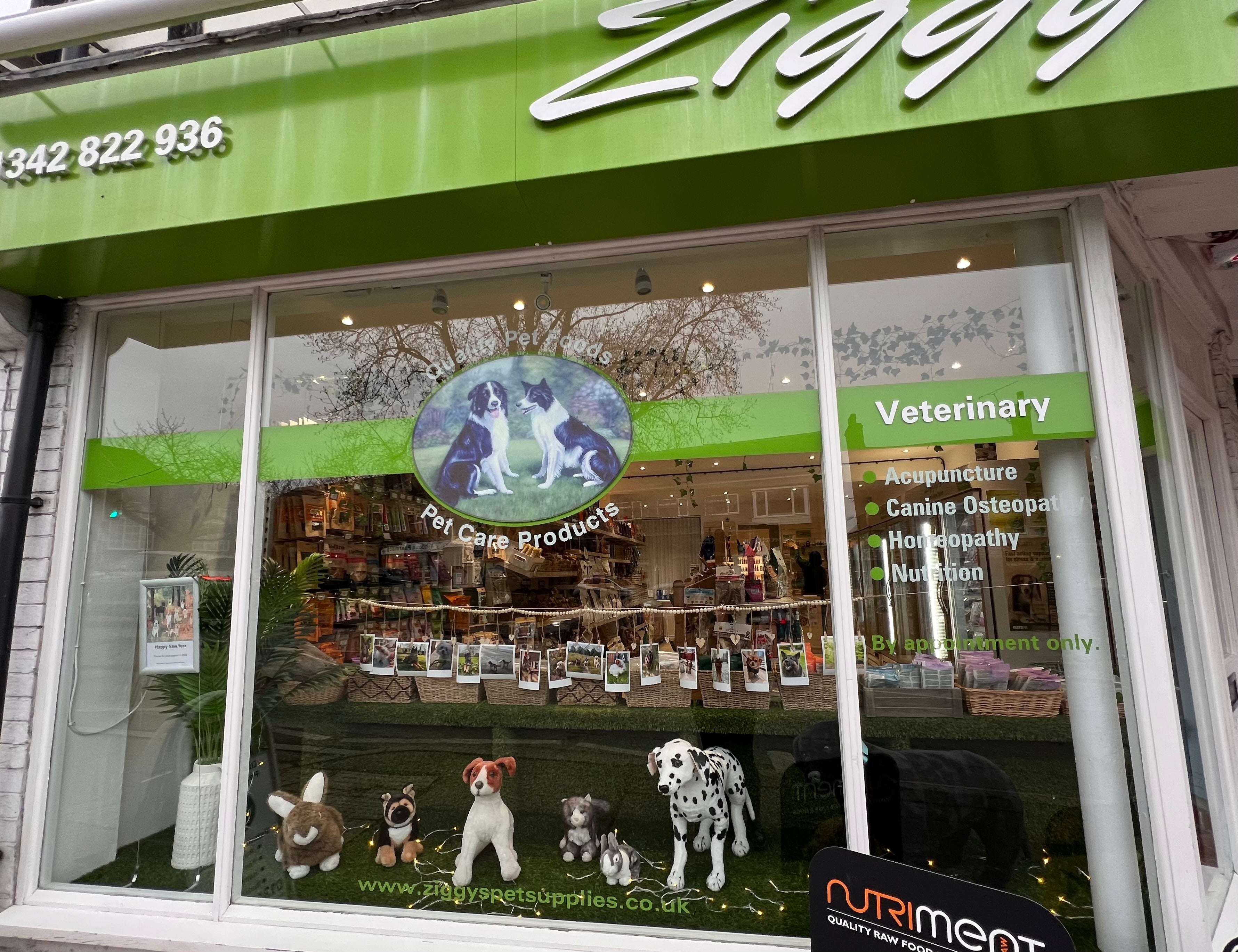 Holistic cheap pet shop