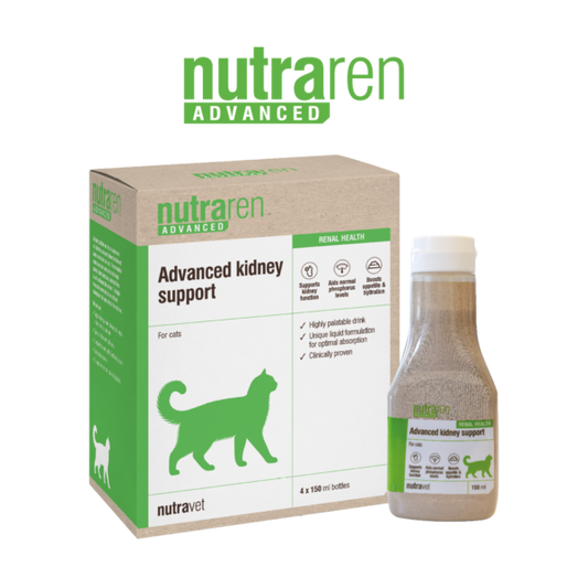 Nutraren Advanced - Kidney support for cats