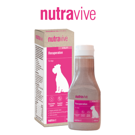 Nutravive - Fast acting recuperation support for dogs