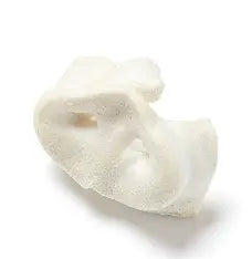 Puffed Pig Snout