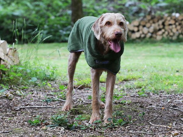 Dog Drying Coat by MuttMOP® - Small