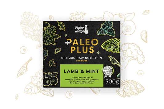 Paleo Plus Lamb and Mint 500g