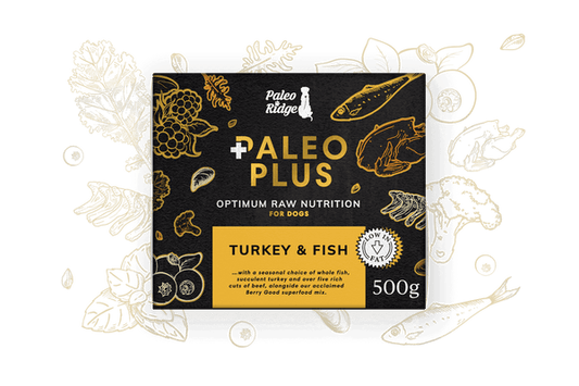 Paleo Plus Turkey & Fish 500g