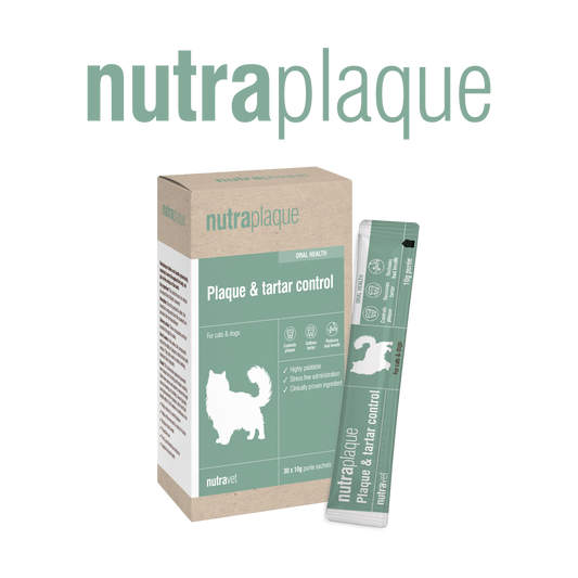 Nutraplaque purée – Tasty plaque and tartar contro