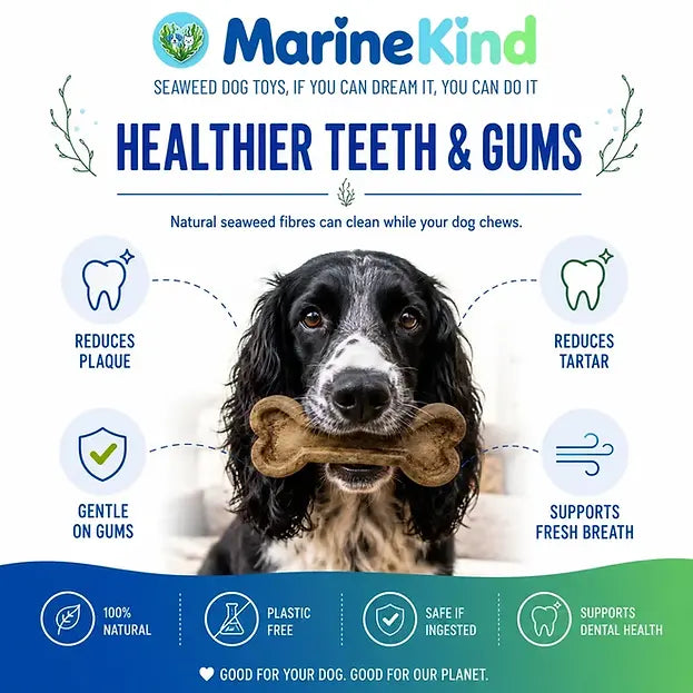 Marine Kind Seaweed Chew Toy