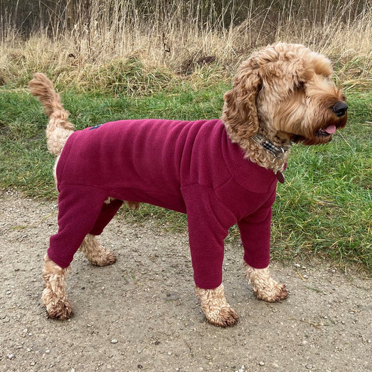 Pawsome Suit Mulberry XL