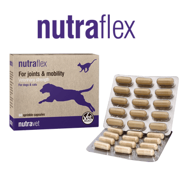 NutraVet available for delivery from Ziggy's for only £2.50 P&P – Ziggy ...