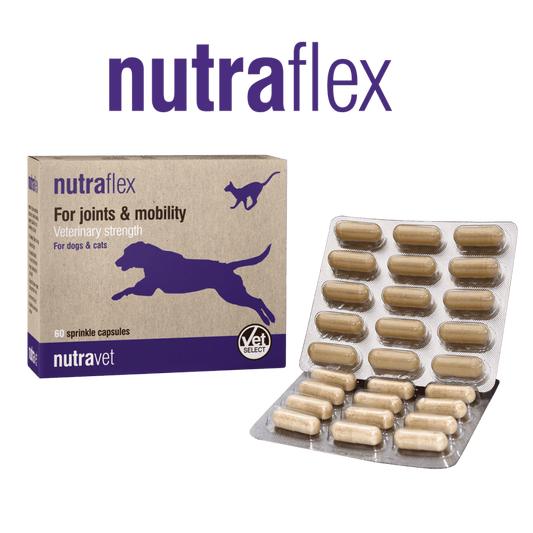 Nutraflex 60 caps