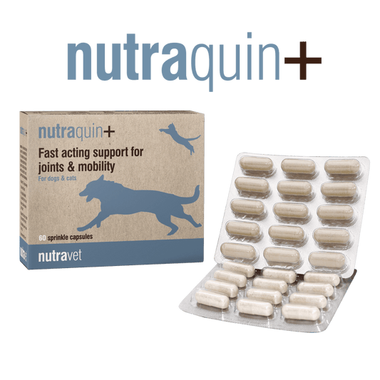 Nutraquin+ 120 Capsules