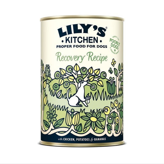 Lilys Kitchen Recovery Recipe 400g Dog