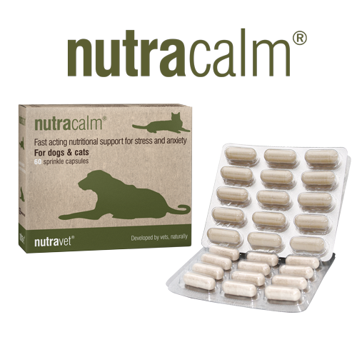 Nutracalm High Strength Natural Calmer - 60 Capsule Pack