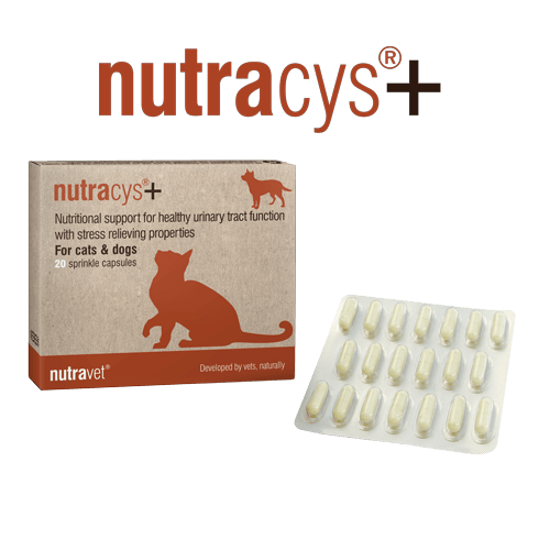 Nutracys+ Natural Supplement to Support Healthy Urinary Tract Function - 20 Capsule Pack