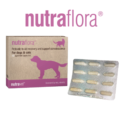 Nutraflora Daily Probiotic Supplement with B12 - 12 Capsule Pack
